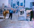 Die Waage am Viehmarkt in Einsiedeln