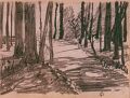 Wald beim Rütihof, Höngg — 1975, Kohle auf Papier