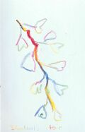 Shulamits Hair — 1988, Bunte Linie, aus dem Reisebuch Jerusalem